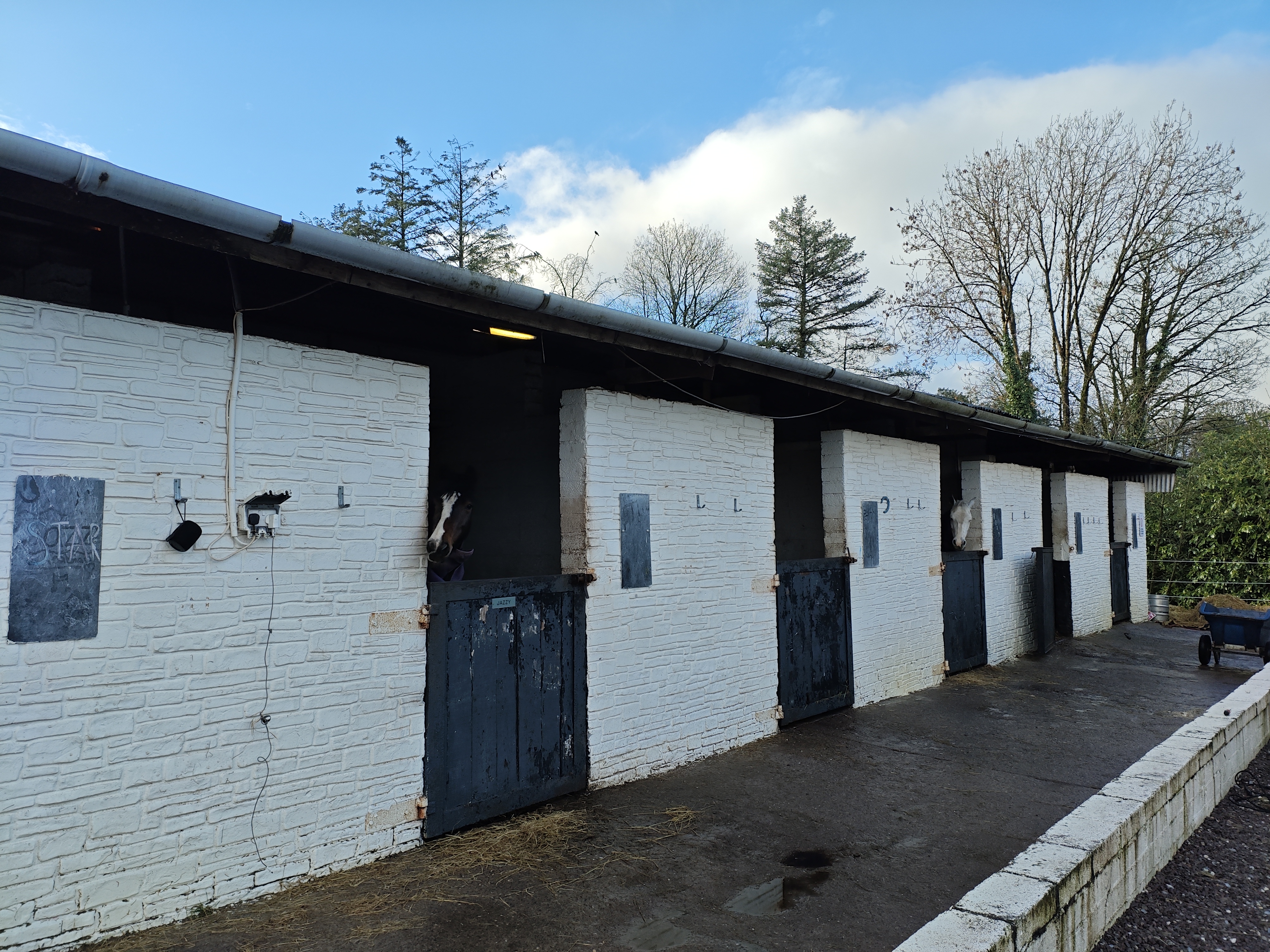 Horse Stable Livery
